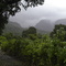 Sudhagad in monsoon