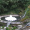 lotus park, nr. rock garden, darjeeling