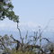 View from Ramitey Dara