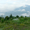 Rishyap valley