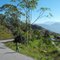 uphill walk