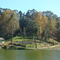 beauty from HEAVEN ------ Wards Lake