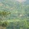 View of Hills near Alugodam Meghalaya