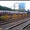Matunga Station