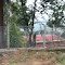 लोयोला  स्कूल லயோலா ஸ்கூல் ஜாகாமா   Loyola School Jakhama/ Zakhama , Kohima  4486