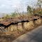 Huts of Nagaland  (NH-39) near Kohima 4701