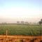 P1072791  Green field  08.32.40