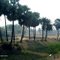 Bagalia, Purulia