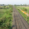A View Towards Kalayni Main Station