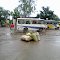 BUS STAND,UMARIA,MP