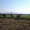 Mountain View From Railway Track
