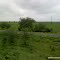 Near Badnera