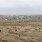Panoramic view of Amravati City from Mahadev Mandir.