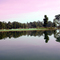 Kanha - a beautiful landscape