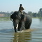 Riding an Elephant at Karnataka