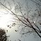 Sun, Moon And Nature
