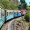toy train kalka shimla