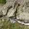 Irrigation canal for Chow village drawn from Mujar Nala at 2630 m