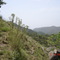 GSM towers on hill top near harlog