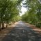 Chhindwara  Nagpur road