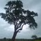 Kumravand jagdalpur