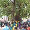 Sanjay Market