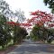 Jagdalpur road