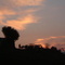 rajouri skyline