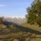 Darhal view