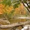 Hubble Creek In The Fall