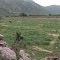 Farm House Sirohi 1