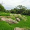 Terraced Paddy  Fields