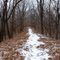 Lone Pine Trail in winter.