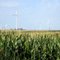 Fowler, Indiana, corn and windfarm