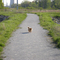 Calumet Trail