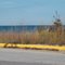 Indiana Dunes