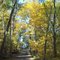 Indiana Dunes