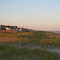 Dune Road LINY