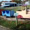 Animal Farm at Manorville, NY
