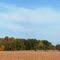 Fall time biking on New Road