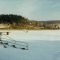 Cold Stream Dam. Really? Ice Skaters in Winter