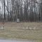 Cornstalk Cemetery