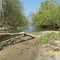 Springtime along Big Raccoon Creek