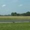 Watering near Michigan