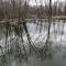 Pigeon River in White Pigeon