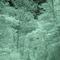 DSC06275 Infrared Indiana Dunes - N view
