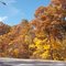 Indiana Dunes