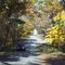 Indiana Dunes