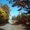 Indiana Dunes