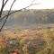 View from the Dune Ridge Trail